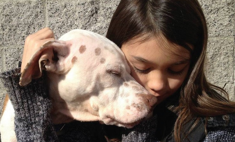 Hearts Alive Village: An Animal Sanctuary Built On&nbsp;Hope