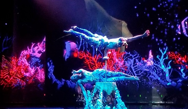 WOW World of Wonder Rio