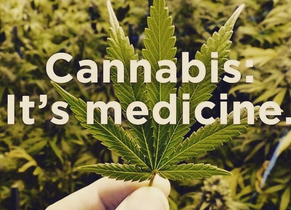 Aussie Heat Adam Green Barr