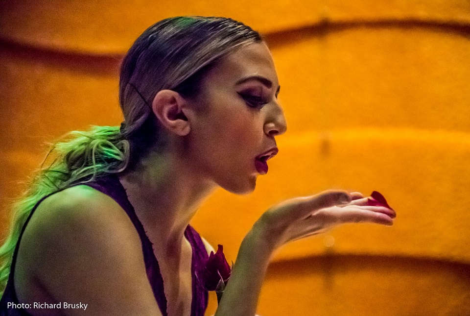 Savannah Cross BAZ Dancer Palazzo