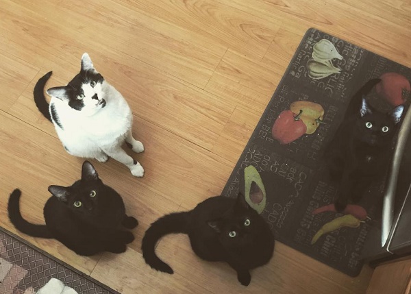 Hot Guys of Vegas Eye of the Beholder