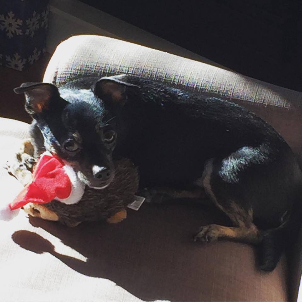 1240623_10153871533171942_277508556001353900_n