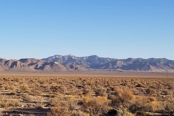 Area 51 Alien Head Geocaching