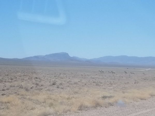 39762417_2625991117626798_1749528286343462912_n