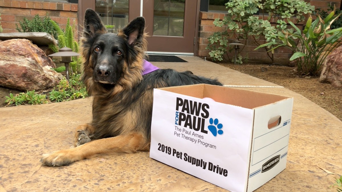 Straight to the Heart: Hospice, Therapy Dogs and a Pet&nbsp;Drive