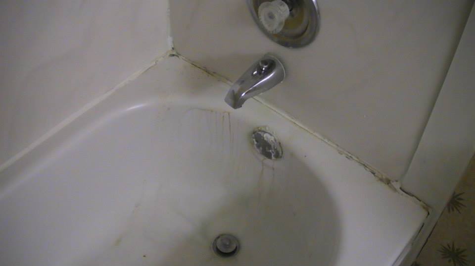 11149477_10206956749502921_6622901963101550225_n