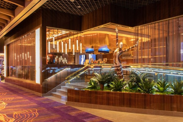 61200718_2170300586339911_3783382196501348352_n