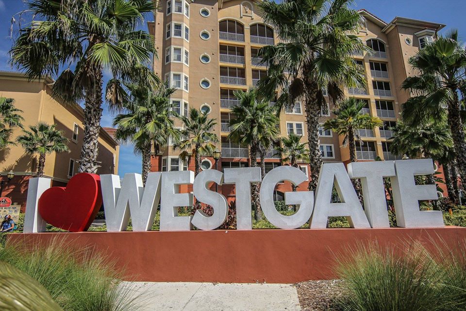 55944955_2091009684308760_144038076233023488_o