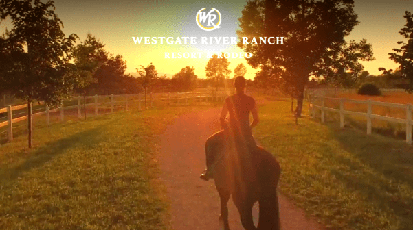 Screenshot 2020-05-17 at 10.26.43 AM