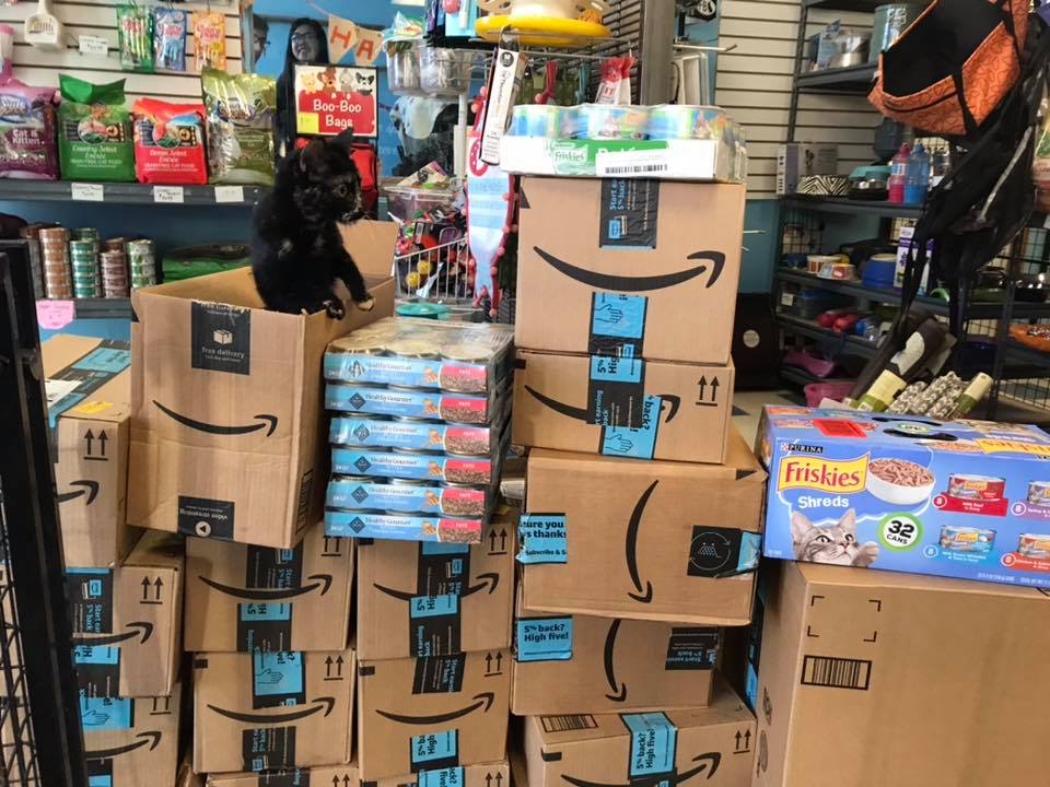 86176213_2636456016575227_7684711517870096384_n